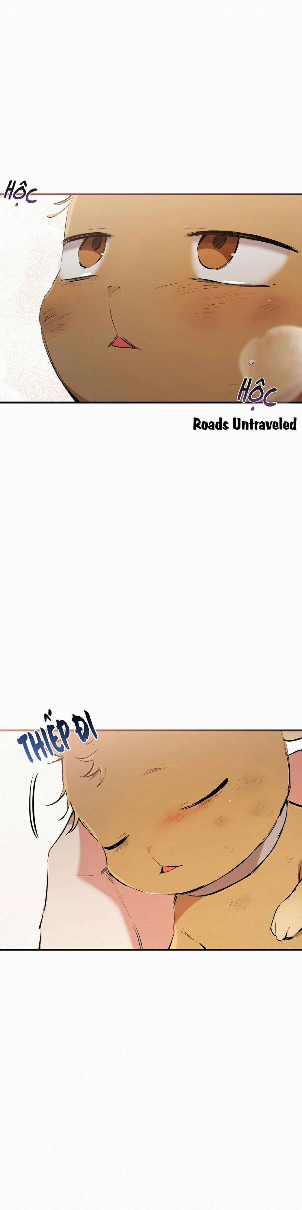 Những Chú Thỏ Của Habibi 50 trang 31