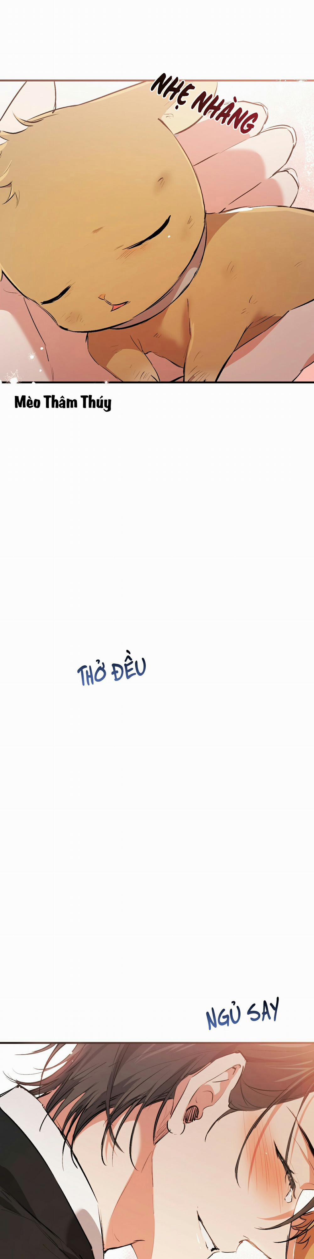 Những Chú Thỏ Của Habibi 50 trang 32