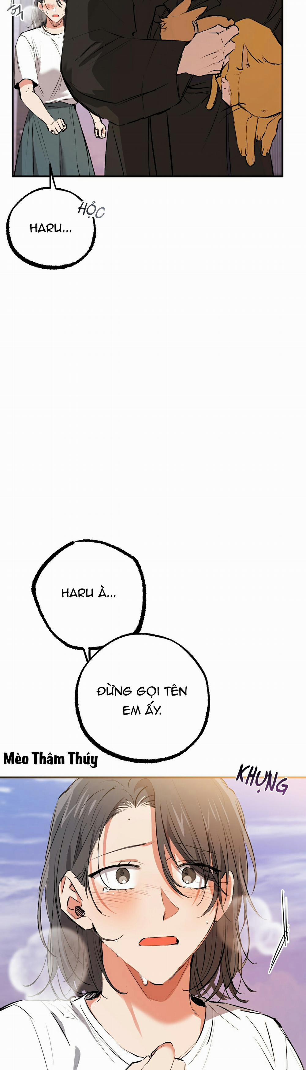 Những Chú Thỏ Của Habibi 50 trang 34