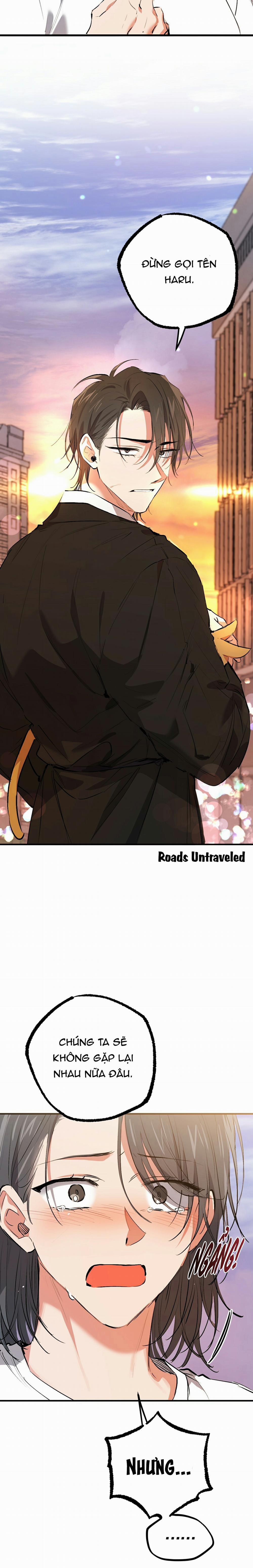 Những Chú Thỏ Của Habibi 50 trang 35