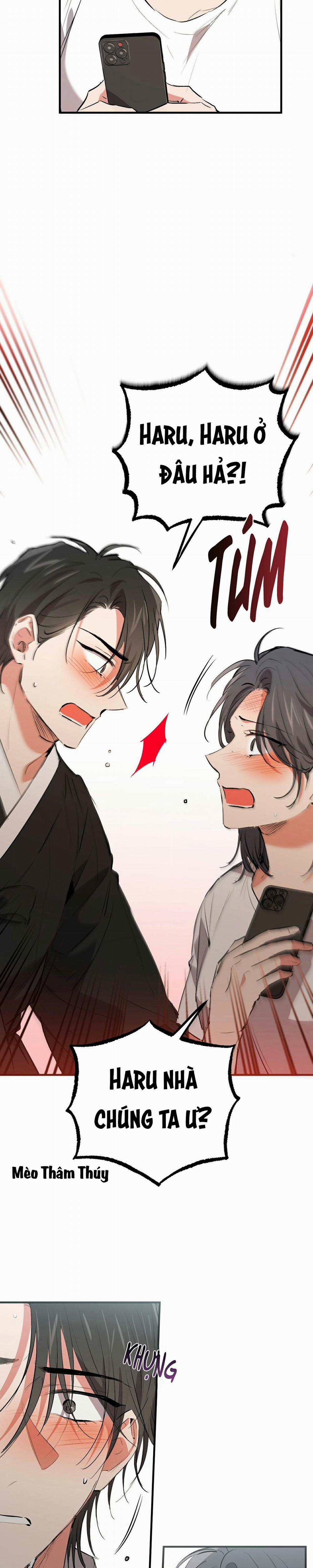 Những Chú Thỏ Của Habibi 50 trang 6