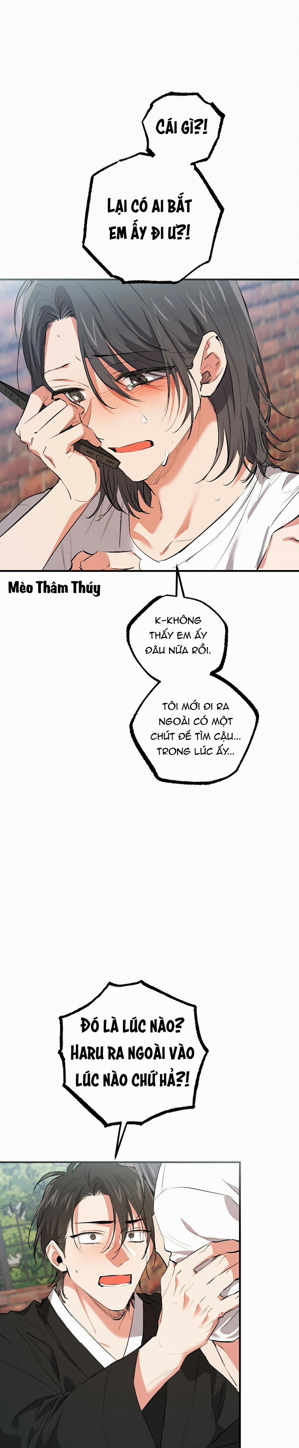 Những Chú Thỏ Của Habibi 50 trang 8