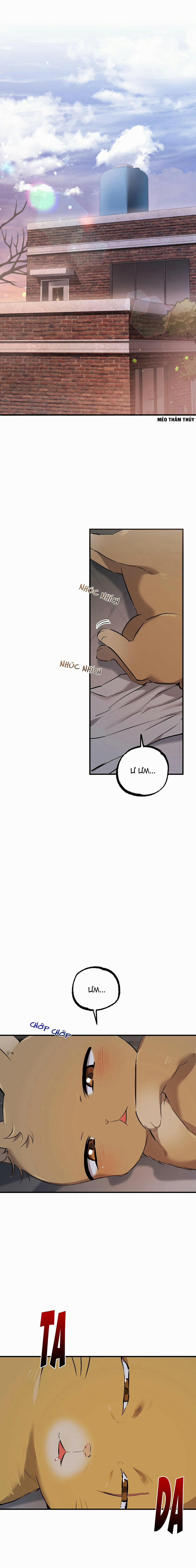 Những Chú Thỏ Của Habibi 51 trang 0