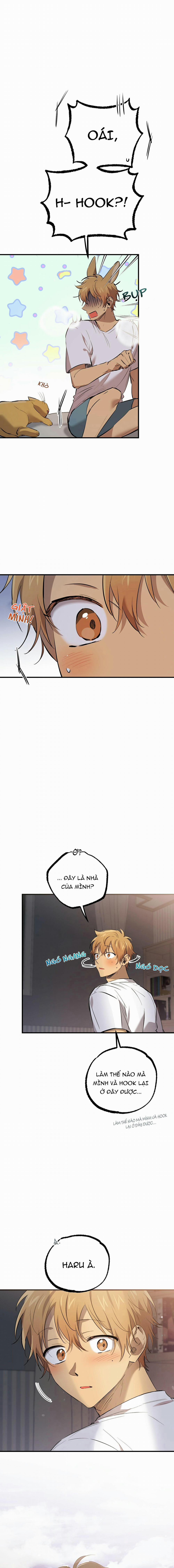 Những Chú Thỏ Của Habibi 51 trang 1