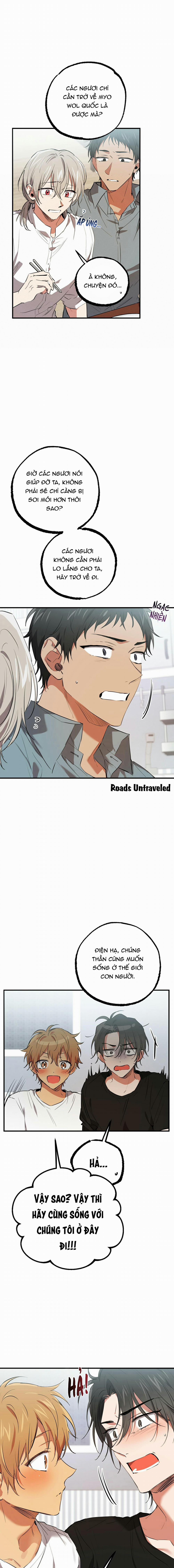 Những Chú Thỏ Của Habibi 51 trang 12