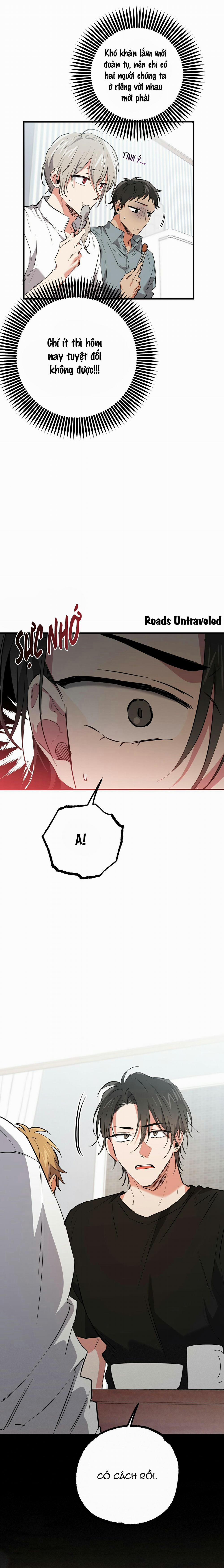 Những Chú Thỏ Của Habibi 51 trang 16