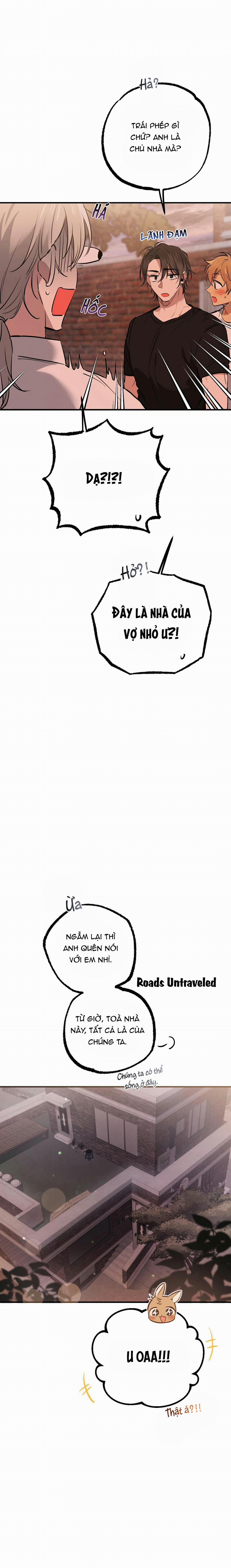 Những Chú Thỏ Của Habibi 51 trang 18