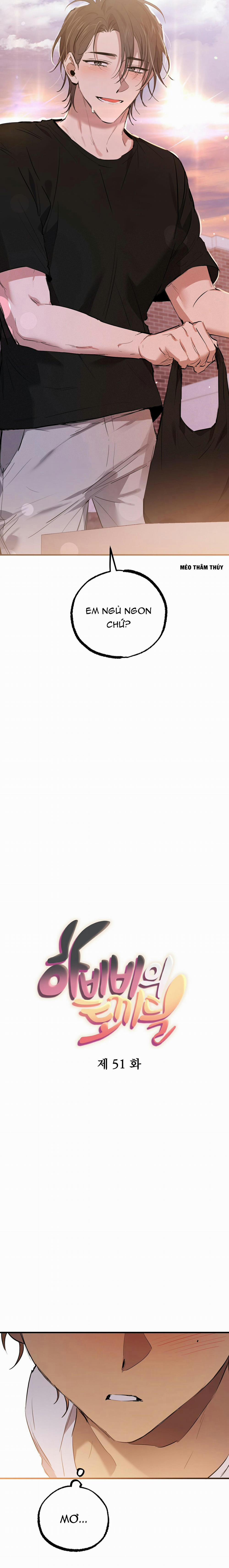 Những Chú Thỏ Của Habibi 51 trang 2