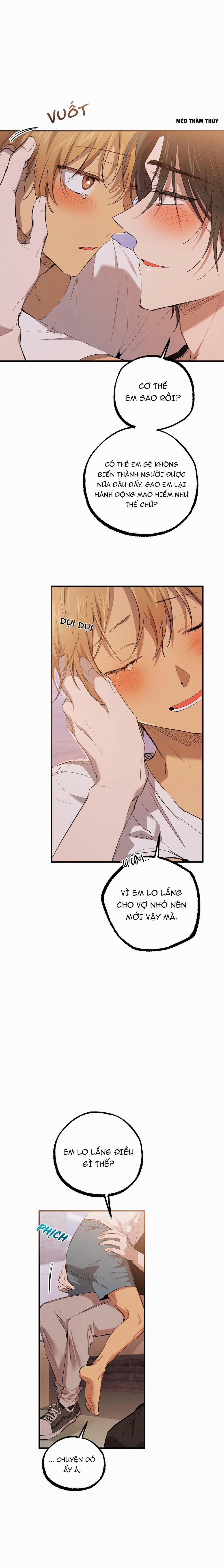 Những Chú Thỏ Của Habibi 51 trang 4