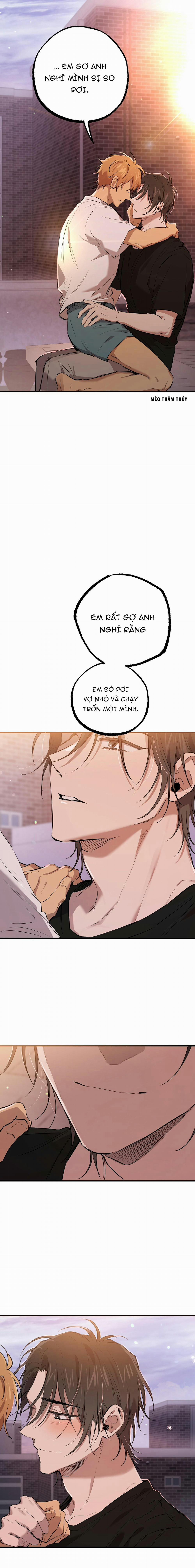 Những Chú Thỏ Của Habibi 51 trang 6