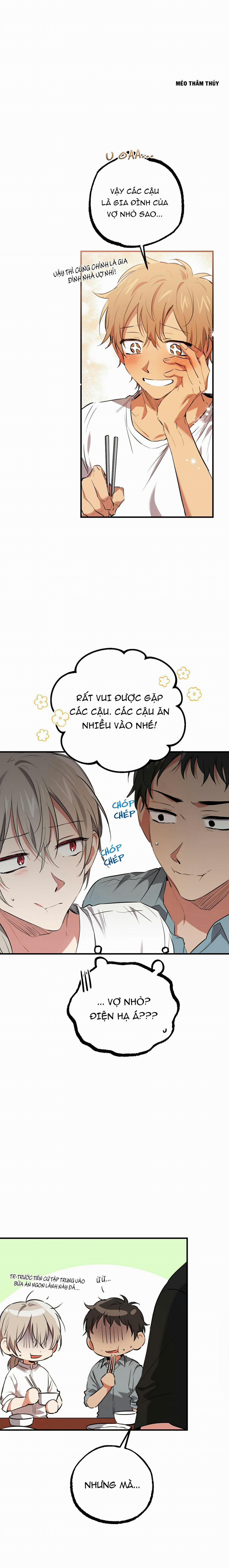 Những Chú Thỏ Của Habibi 52 trang 10