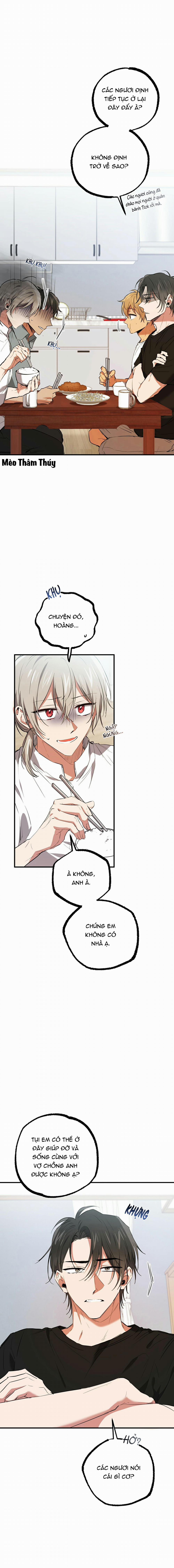 Những Chú Thỏ Của Habibi 52 trang 11