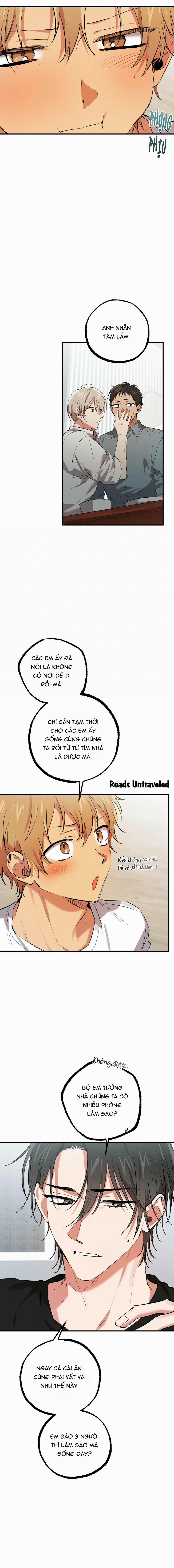 Những Chú Thỏ Của Habibi 52 trang 14