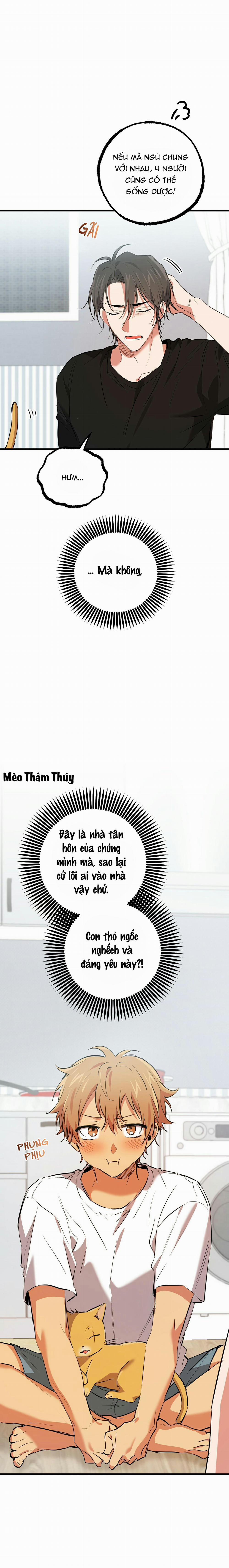 Những Chú Thỏ Của Habibi 52 trang 15