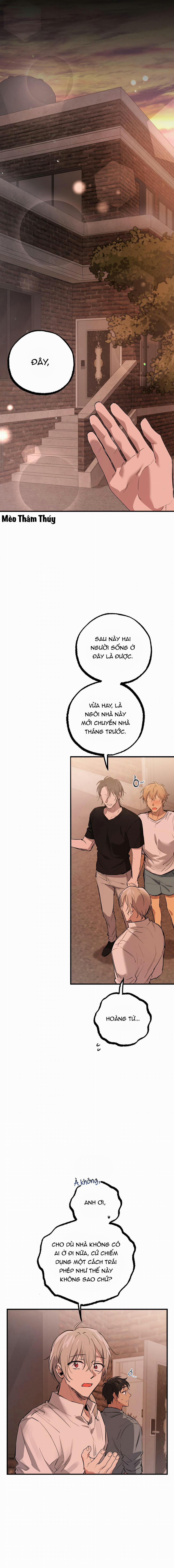 Những Chú Thỏ Của Habibi 52 trang 17