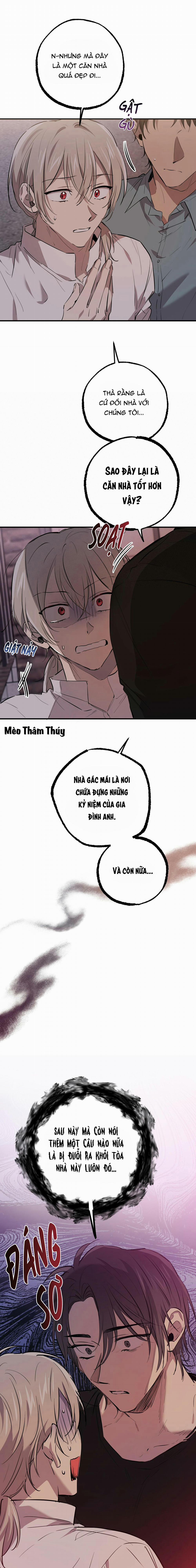 Những Chú Thỏ Của Habibi 52 trang 19