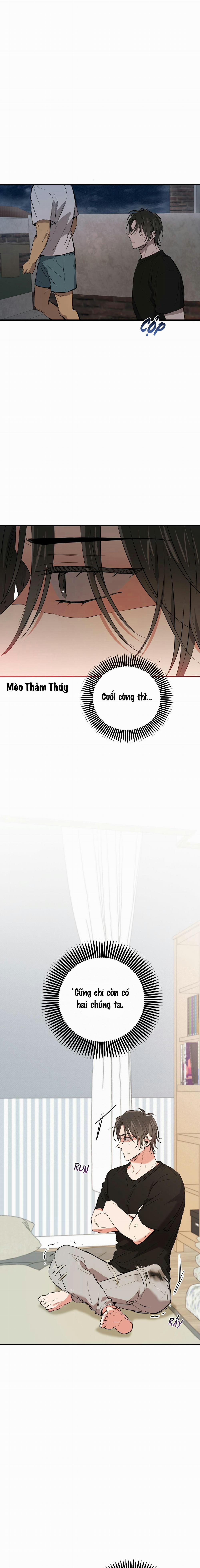 Những Chú Thỏ Của Habibi 52 trang 21