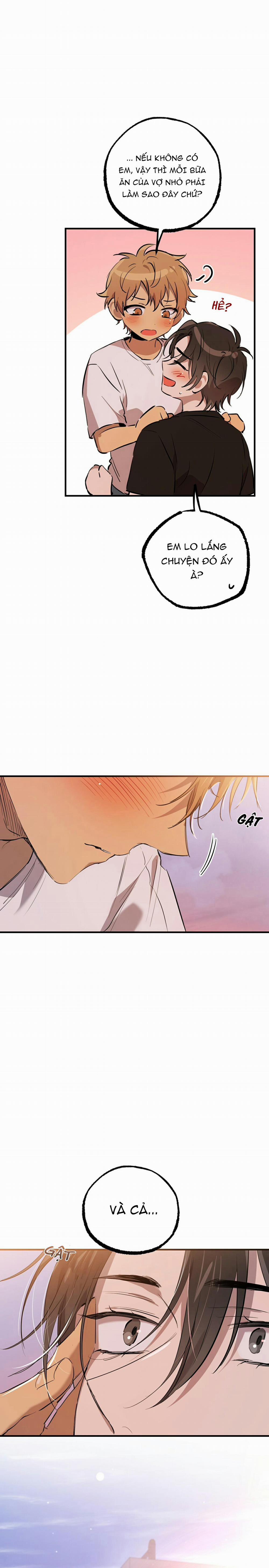 Những Chú Thỏ Của Habibi 52 trang 5