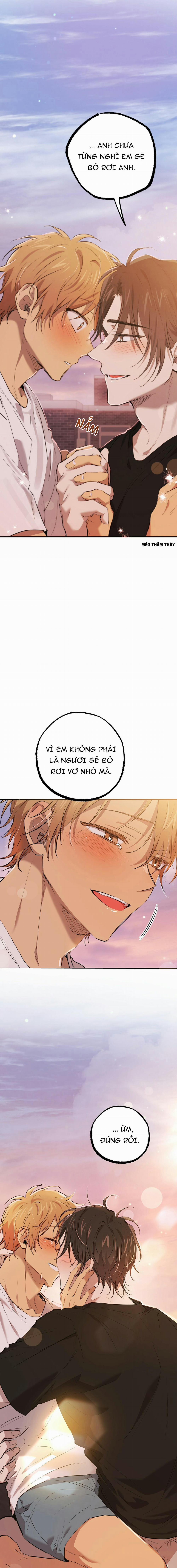 Những Chú Thỏ Của Habibi 52 trang 8