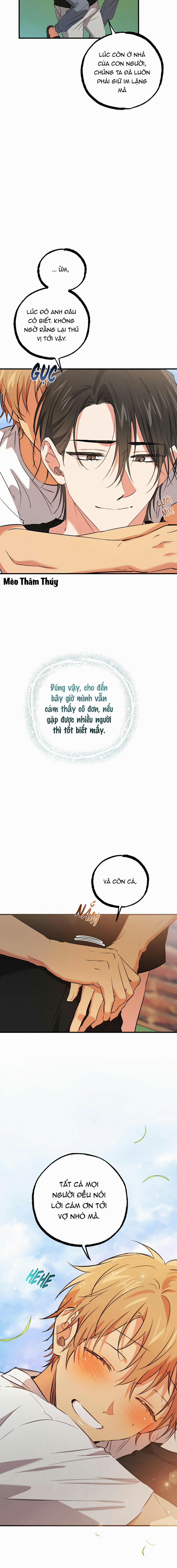 Những Chú Thỏ Của Habibi 53 trang 10