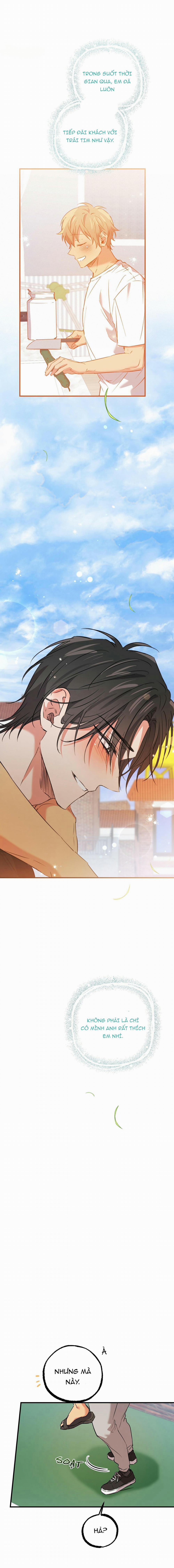 Những Chú Thỏ Của Habibi 53 trang 12