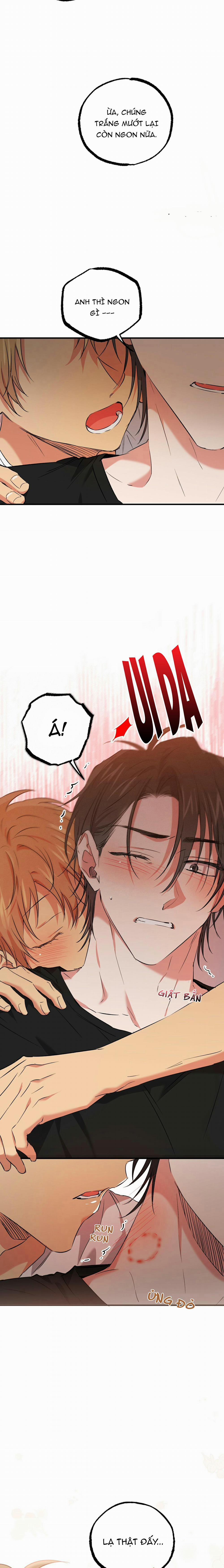 Những Chú Thỏ Của Habibi 53 trang 14