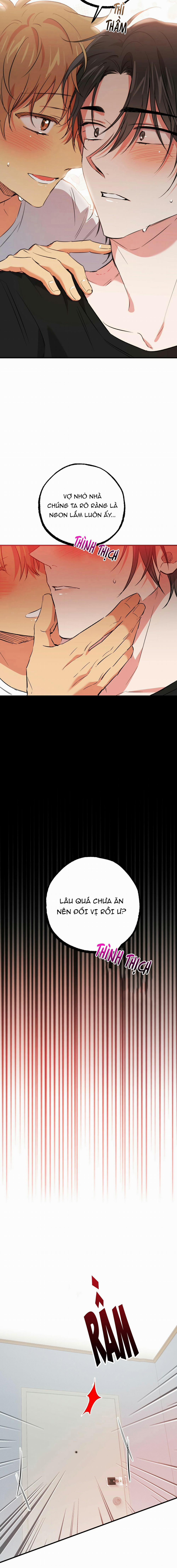 Những Chú Thỏ Của Habibi 53 trang 15