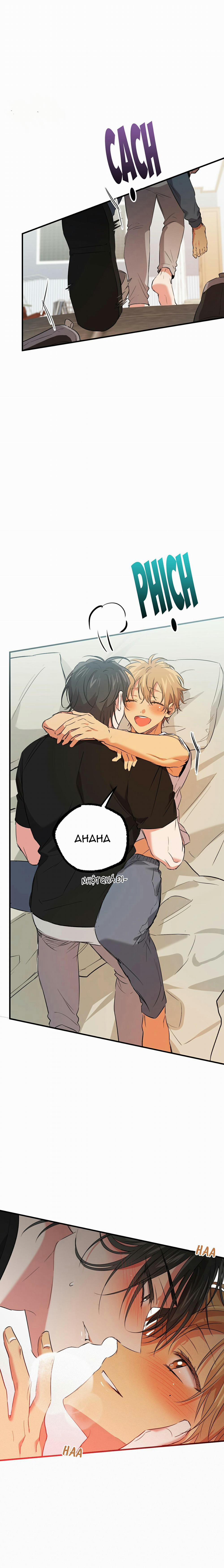 Những Chú Thỏ Của Habibi 53 trang 16