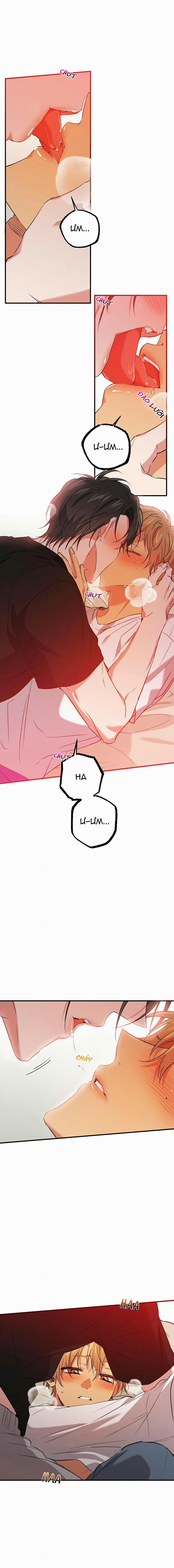 Những Chú Thỏ Của Habibi 53 trang 17