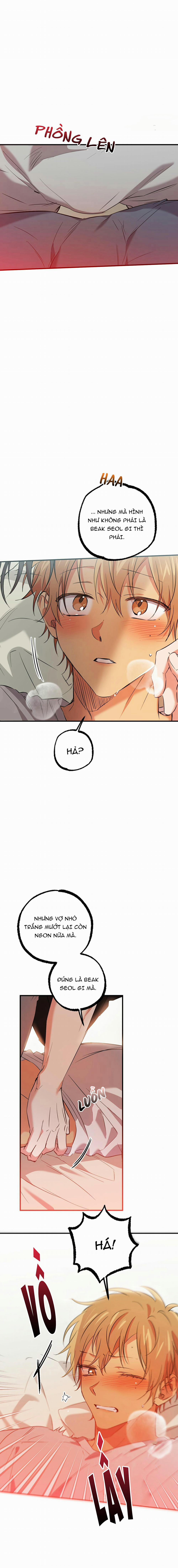 Những Chú Thỏ Của Habibi 53 trang 18