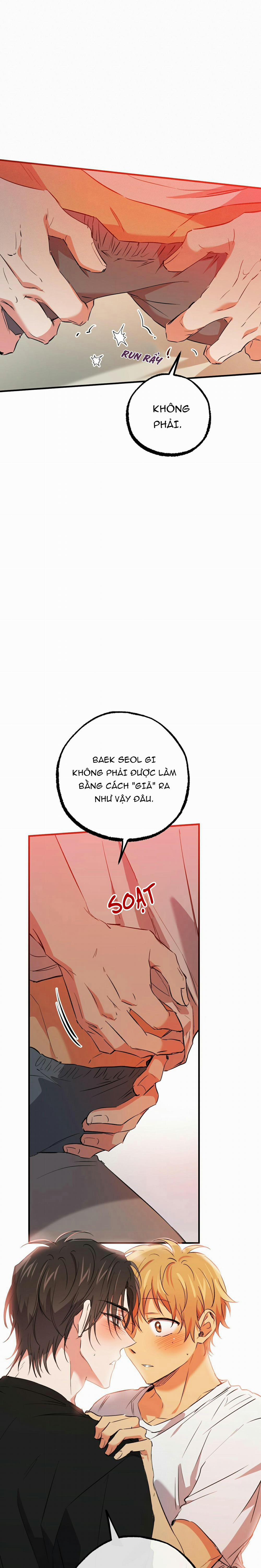 Những Chú Thỏ Của Habibi 53 trang 19