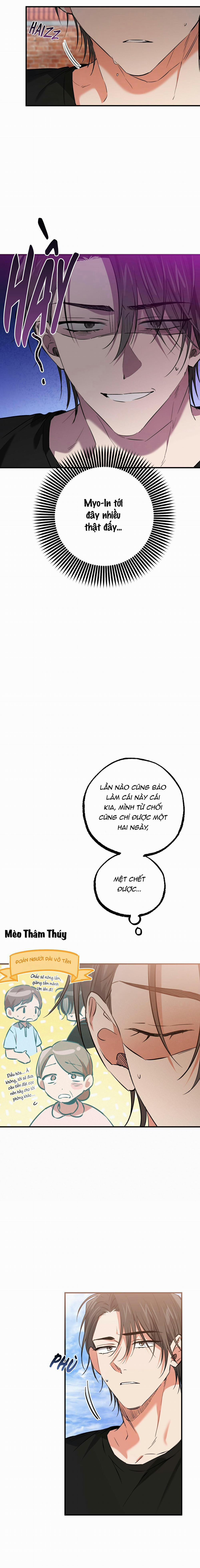 Những Chú Thỏ Của Habibi 53 trang 2