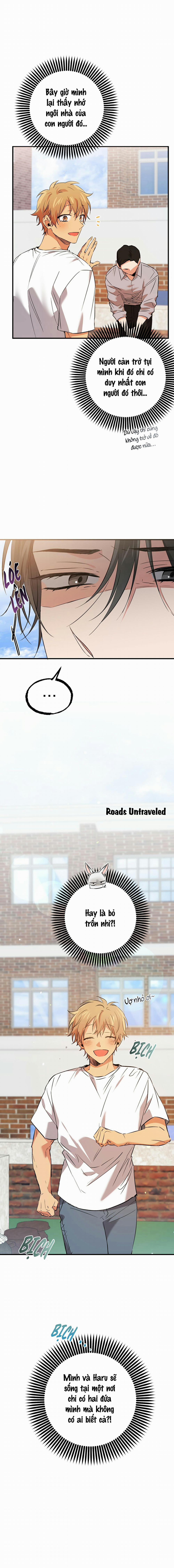 Những Chú Thỏ Của Habibi 53 trang 3