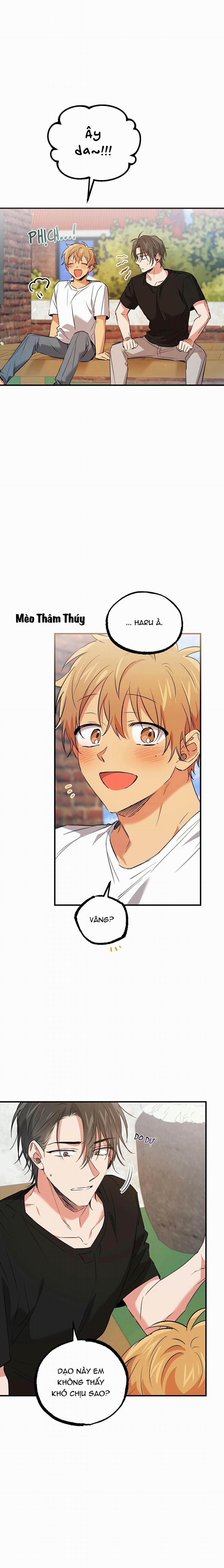 Những Chú Thỏ Của Habibi 53 trang 4