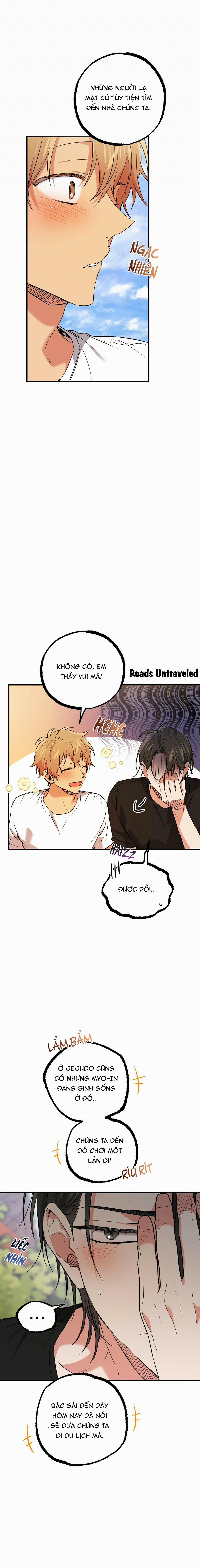 Những Chú Thỏ Của Habibi 53 trang 5