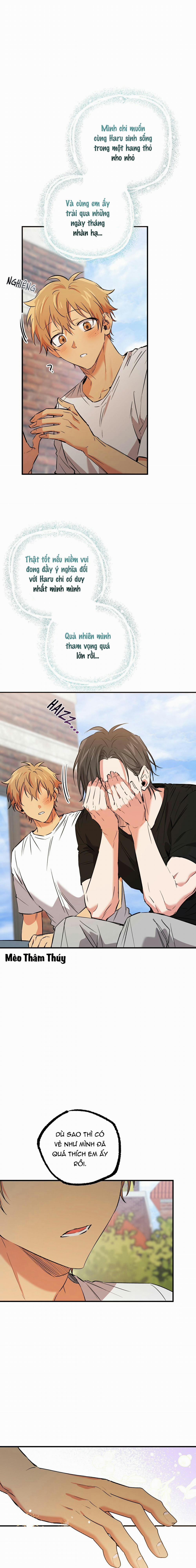 Những Chú Thỏ Của Habibi 53 trang 6