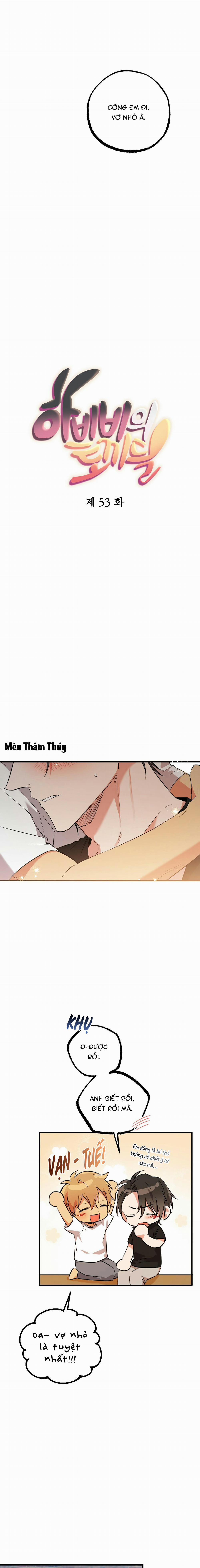 Những Chú Thỏ Của Habibi 53 trang 8