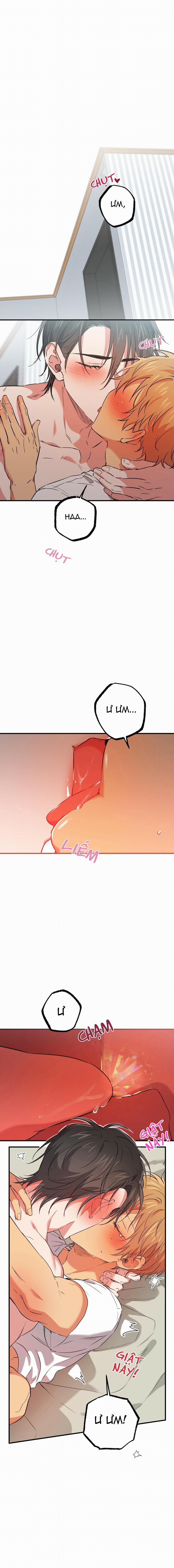 Những Chú Thỏ Của Habibi 54 trang 0