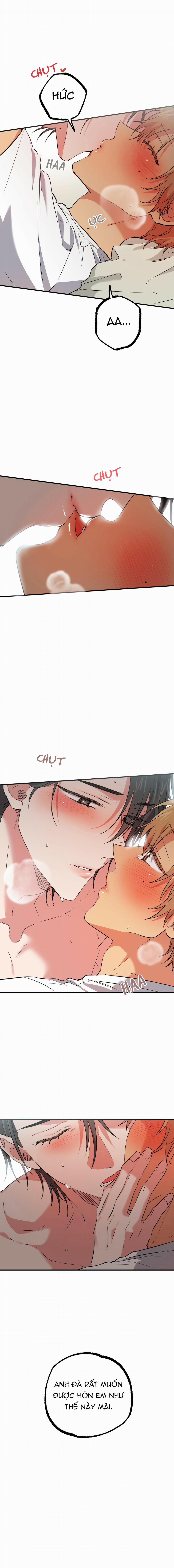 Những Chú Thỏ Của Habibi 54 trang 1