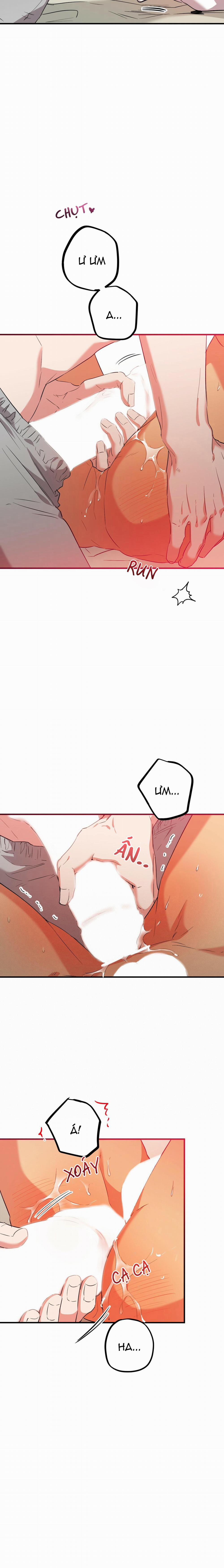 Những Chú Thỏ Của Habibi 54 trang 10