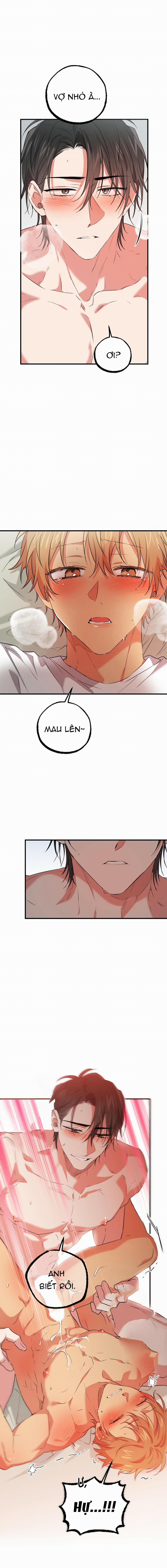 Những Chú Thỏ Của Habibi 54 trang 11