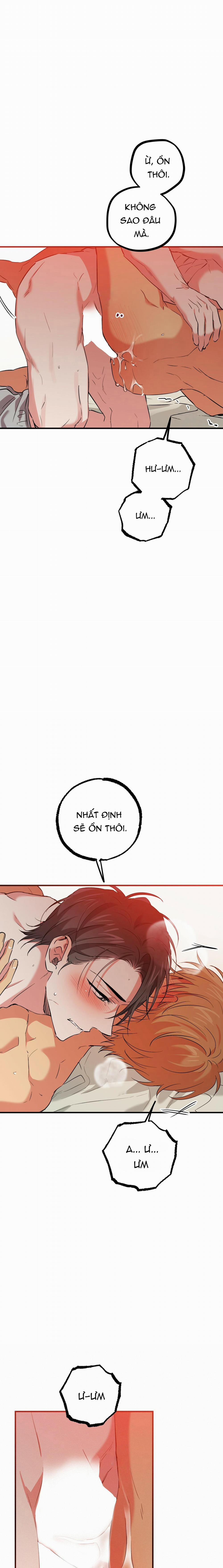 Những Chú Thỏ Của Habibi 54 trang 12