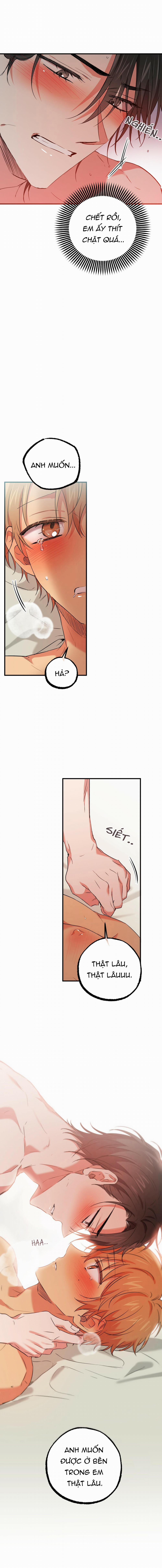 Những Chú Thỏ Của Habibi 54 trang 14