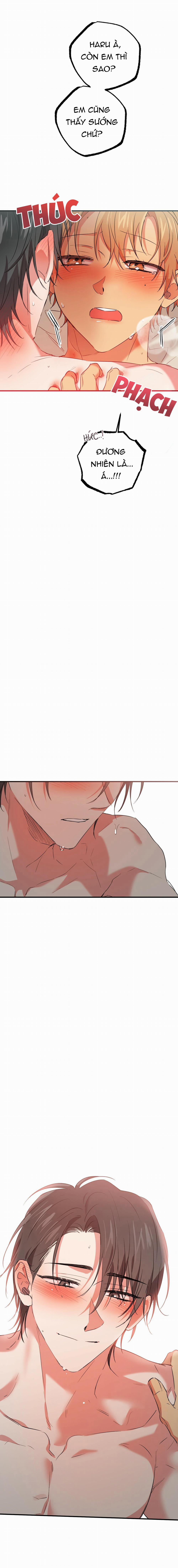 Những Chú Thỏ Của Habibi 54 trang 16