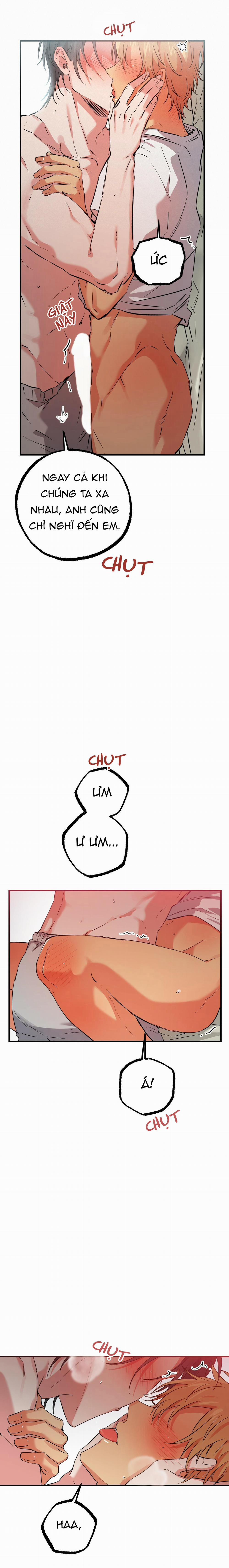 Những Chú Thỏ Của Habibi 54 trang 2