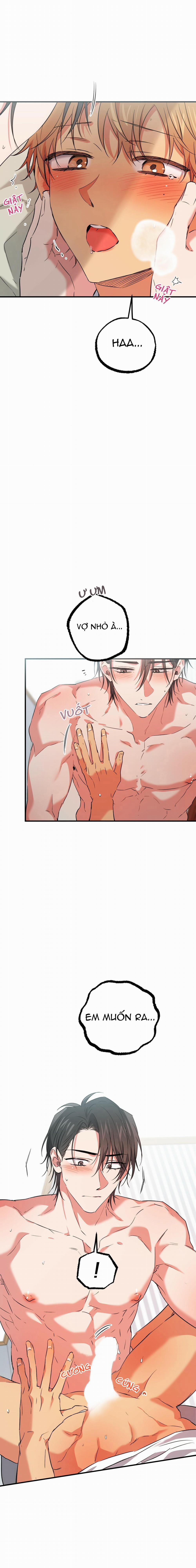 Những Chú Thỏ Của Habibi 54 trang 3