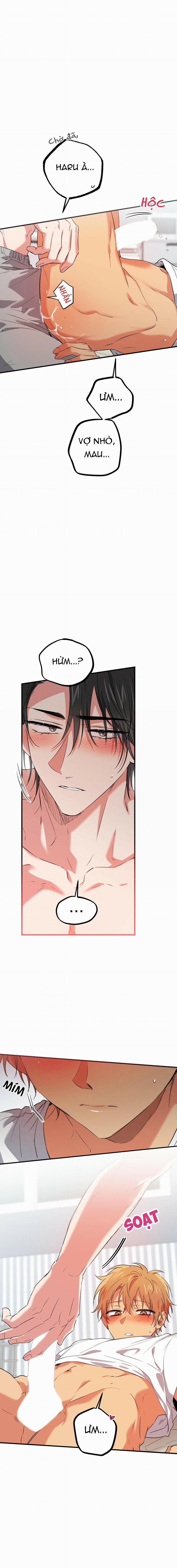 Những Chú Thỏ Của Habibi 54 trang 4