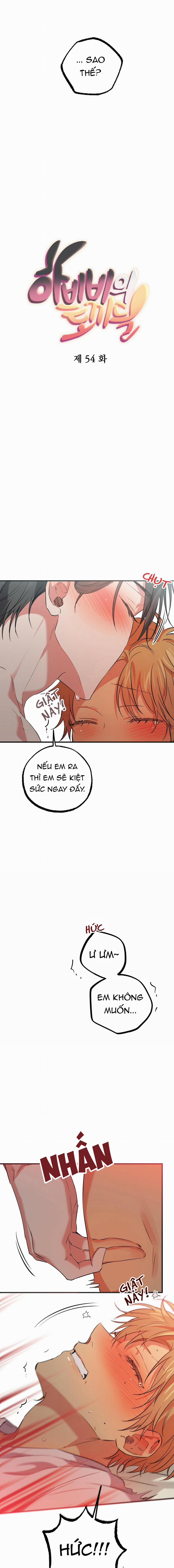 Những Chú Thỏ Của Habibi 54 trang 6