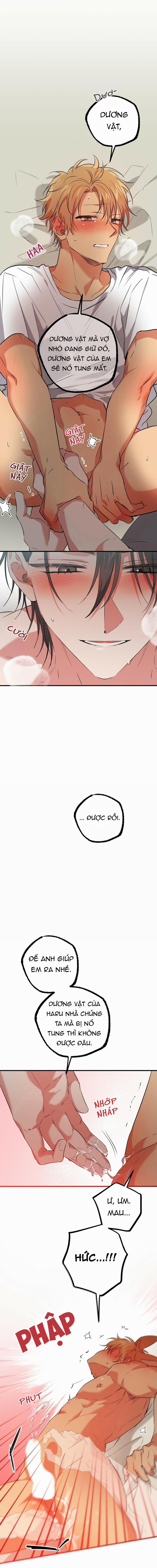 Những Chú Thỏ Của Habibi 54 trang 8