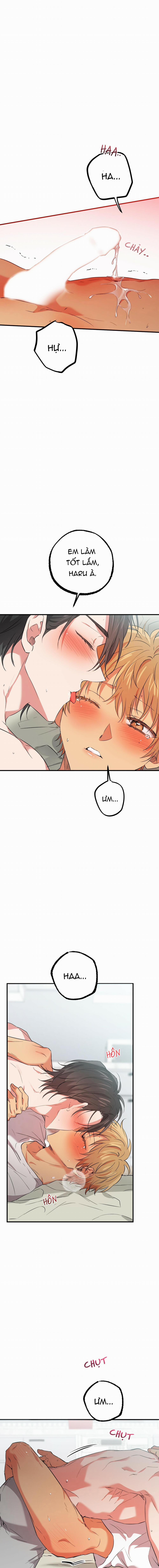 Những Chú Thỏ Của Habibi 54 trang 9